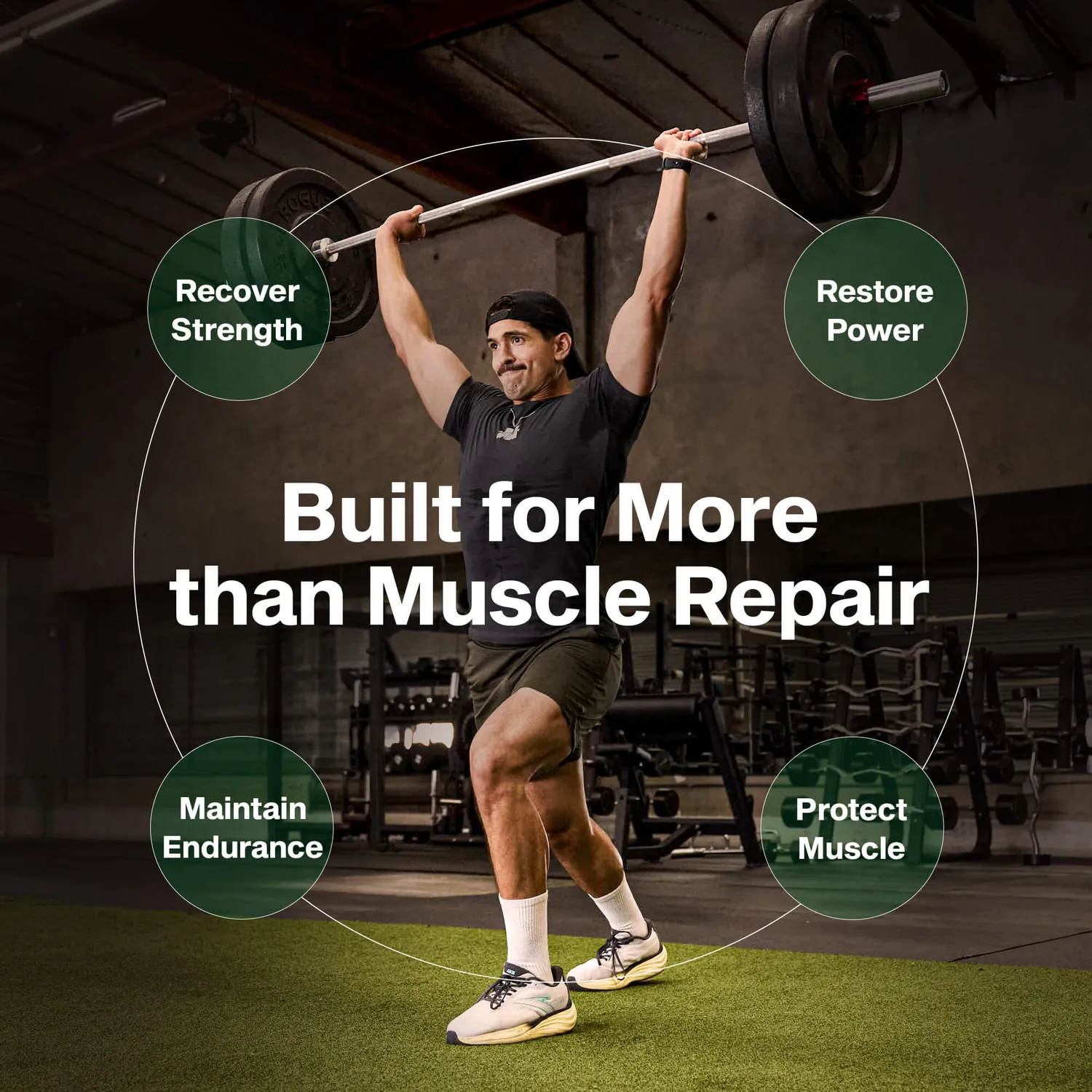 MuscleTech Recovery Peptide 144 Supplement PeptiStrong HMB