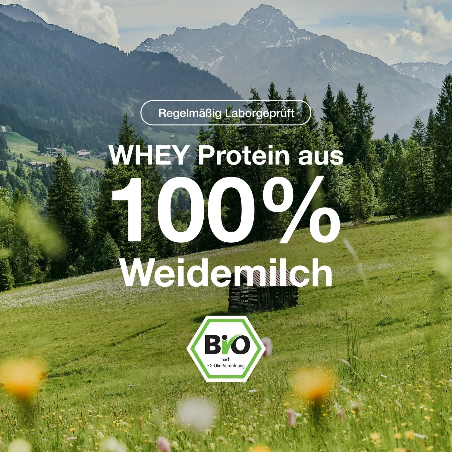 ORGAINIC Bio Whey Protein 1000g + Creatin Bundle Kakao