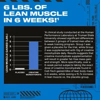 MuscleTech Cell-Tech Kreatin 10 g