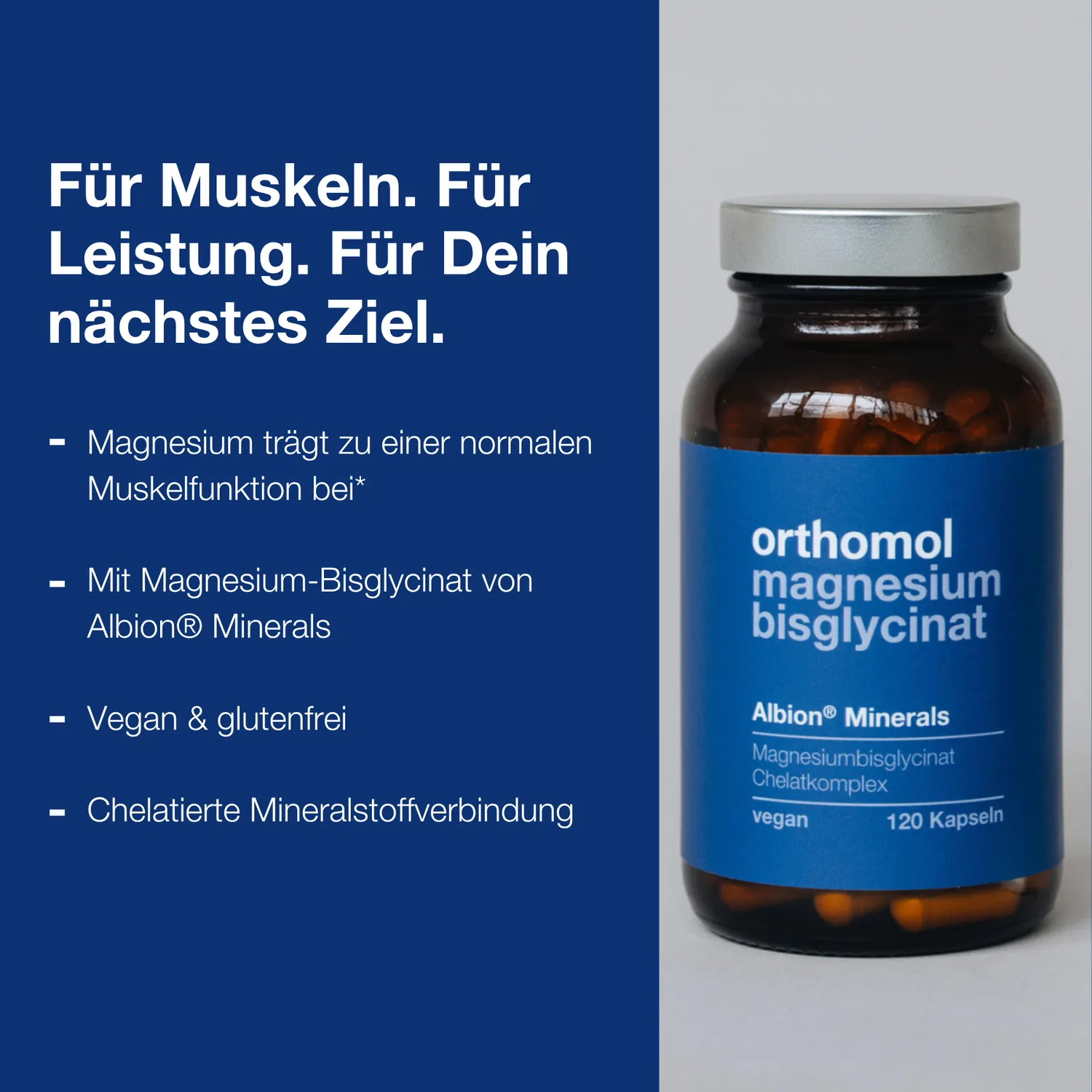 Orthomol Sport Magnesium Bisglycinat Kapseln 1 x 120 – Chelat