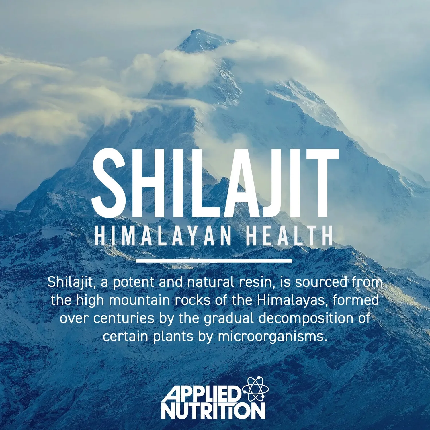 Applied Nutrition Shilajit Kapseln 90 Stück Himalaya