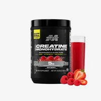 MuscleTech Platinum 100% Creatine Kreatin Monohydrat