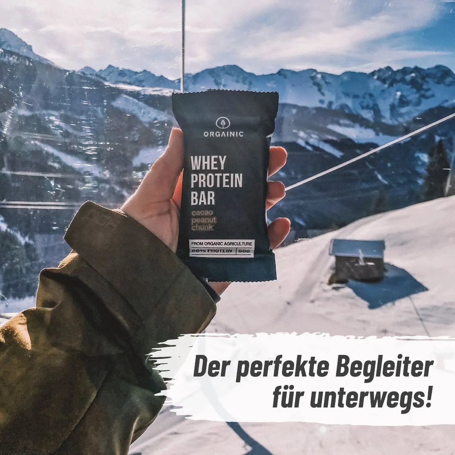 ORGAINIC Bio Protein Energy Bars Proteinriegel Cacao Peanut 12er Box ohne Zuckerzusatz