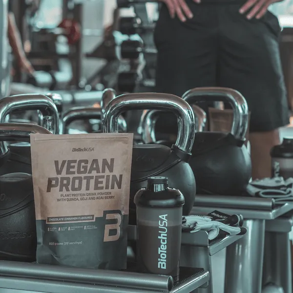 Body Star Vegan Protein 500 g Schokolade-Zimt pflanzlich