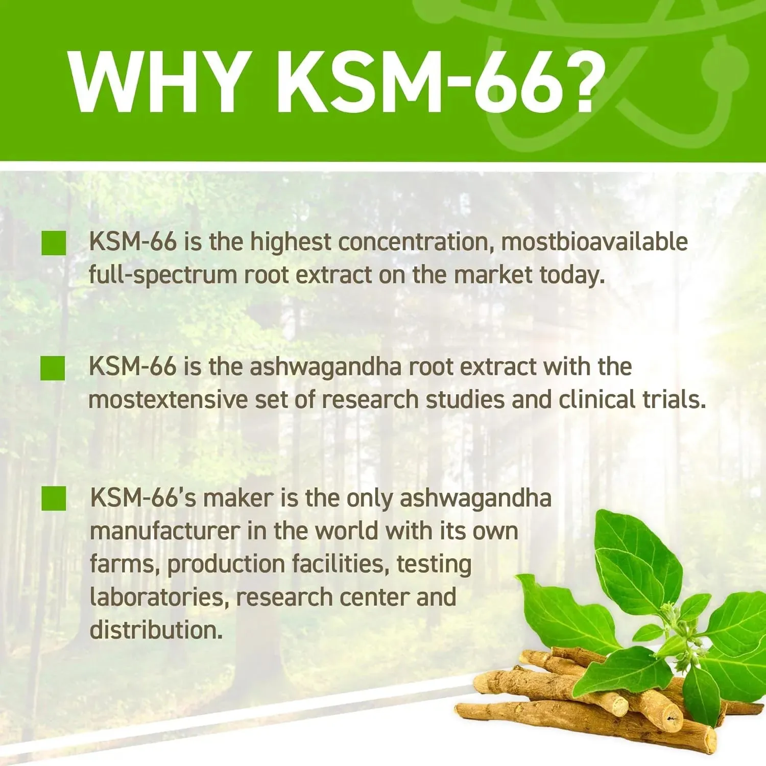 Applied Nutrition Ashwagandha KSM-66 Kapseln 60 Stück