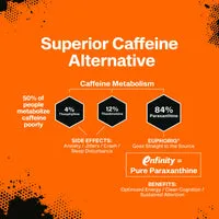 MuscleTech EUPHORiQ EuphoriQ Pre-Workout v2 Pre-Workout Pulver